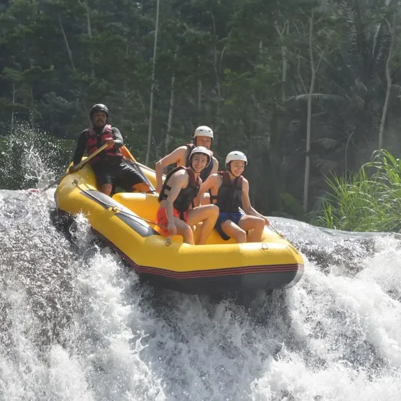 IMG-20250801-WA0009