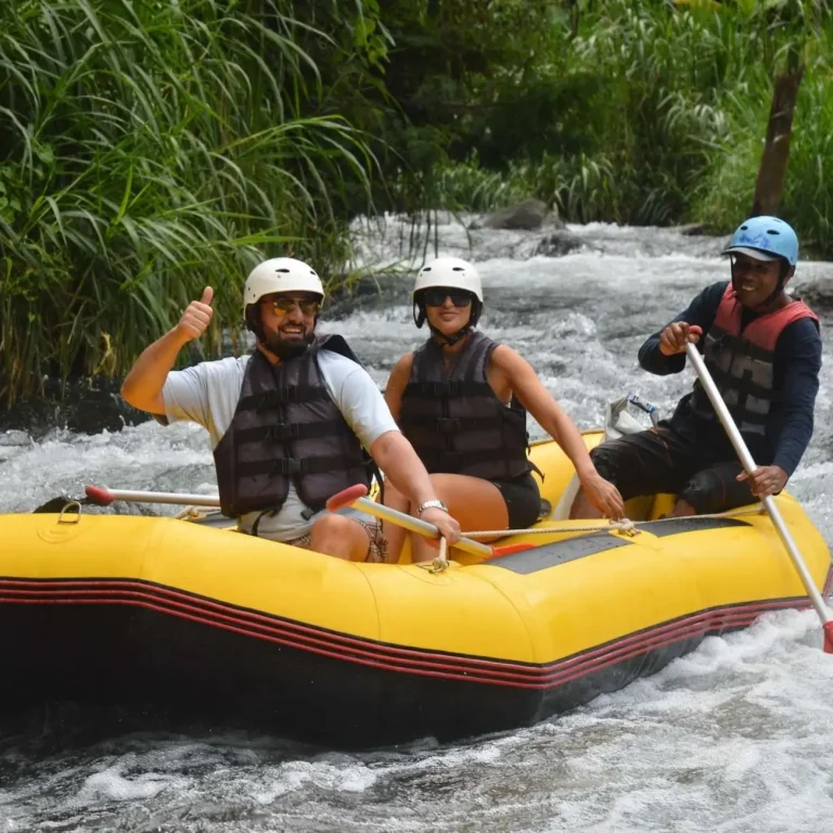 picsart 25 10 11 13 40 12 579